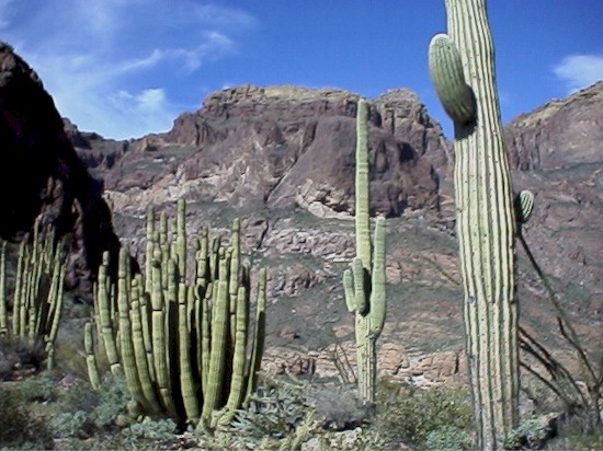 ajomount1.jpg (83694 bytes)