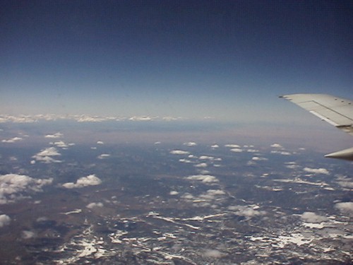 dechelly.jpg (43025 bytes)