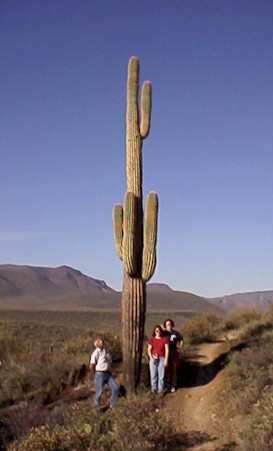hike2.jpg (28730 bytes)