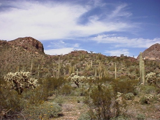 landscape2.jpg (68053 bytes)