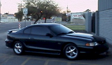 stang.jpg (26275 bytes)
