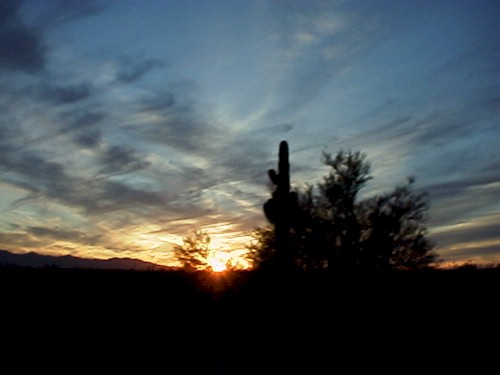 sunset1.jpg (28277 bytes)